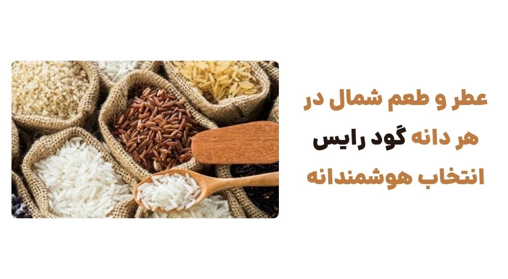 عطر و طعم شمال در هر دانه گود رایس، انتخاب هوشمندانه!
