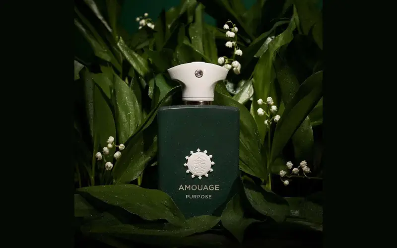 ادکلن پرپس (Amouage Porpuse)