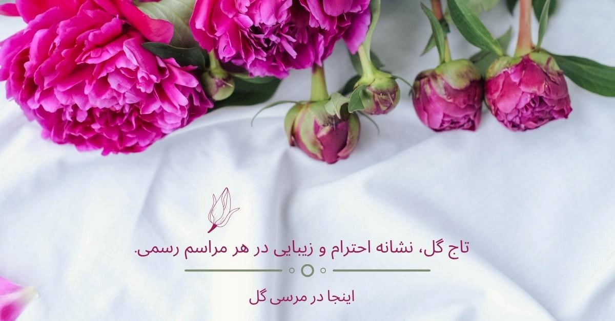 مرسی گل