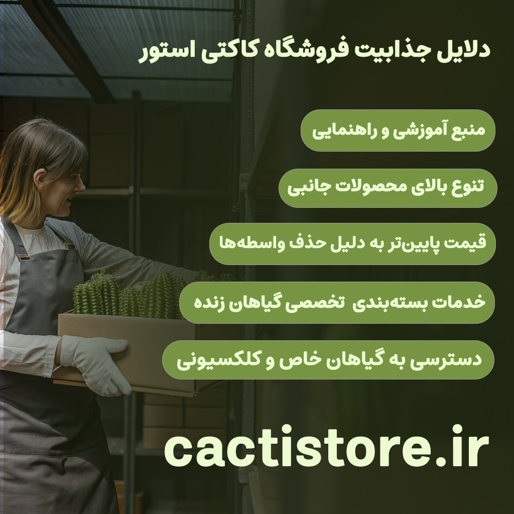 4 نمونه موفق برندهای اینترنتی در قزوین
