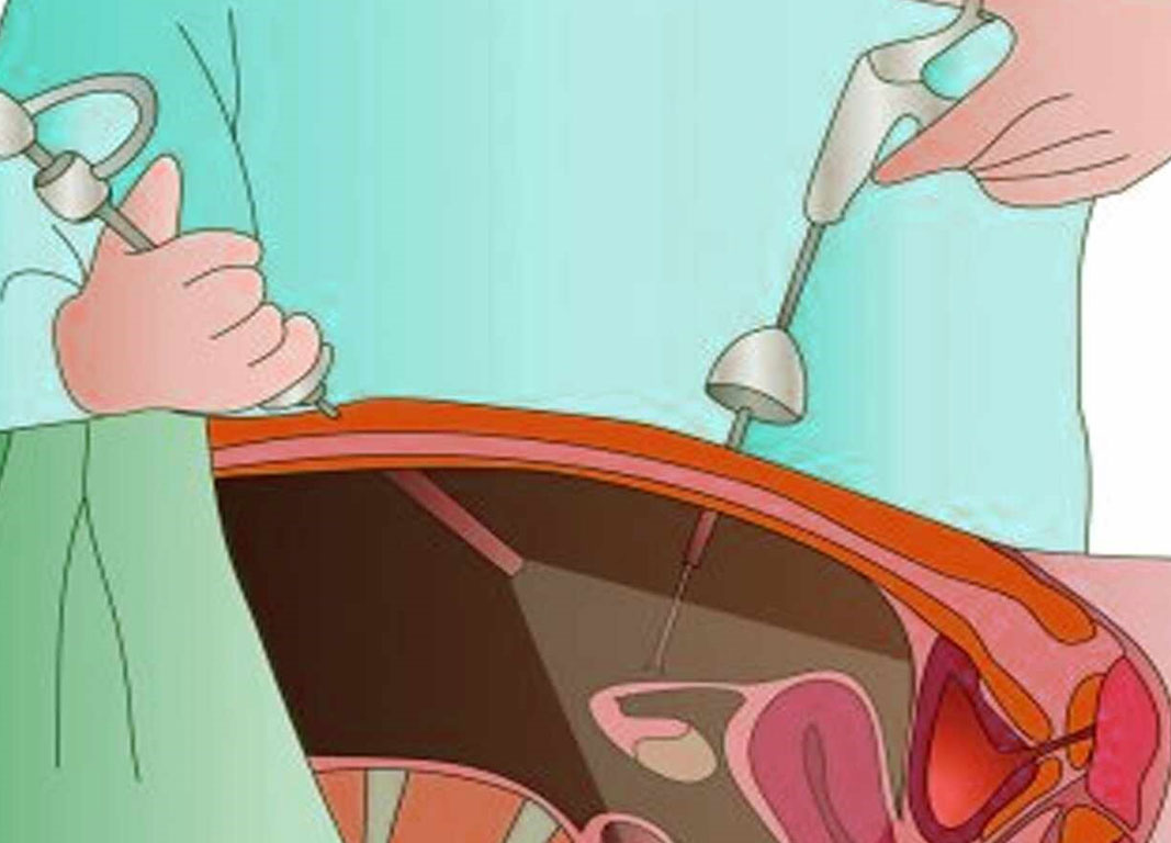 دکتر معصومه عابد