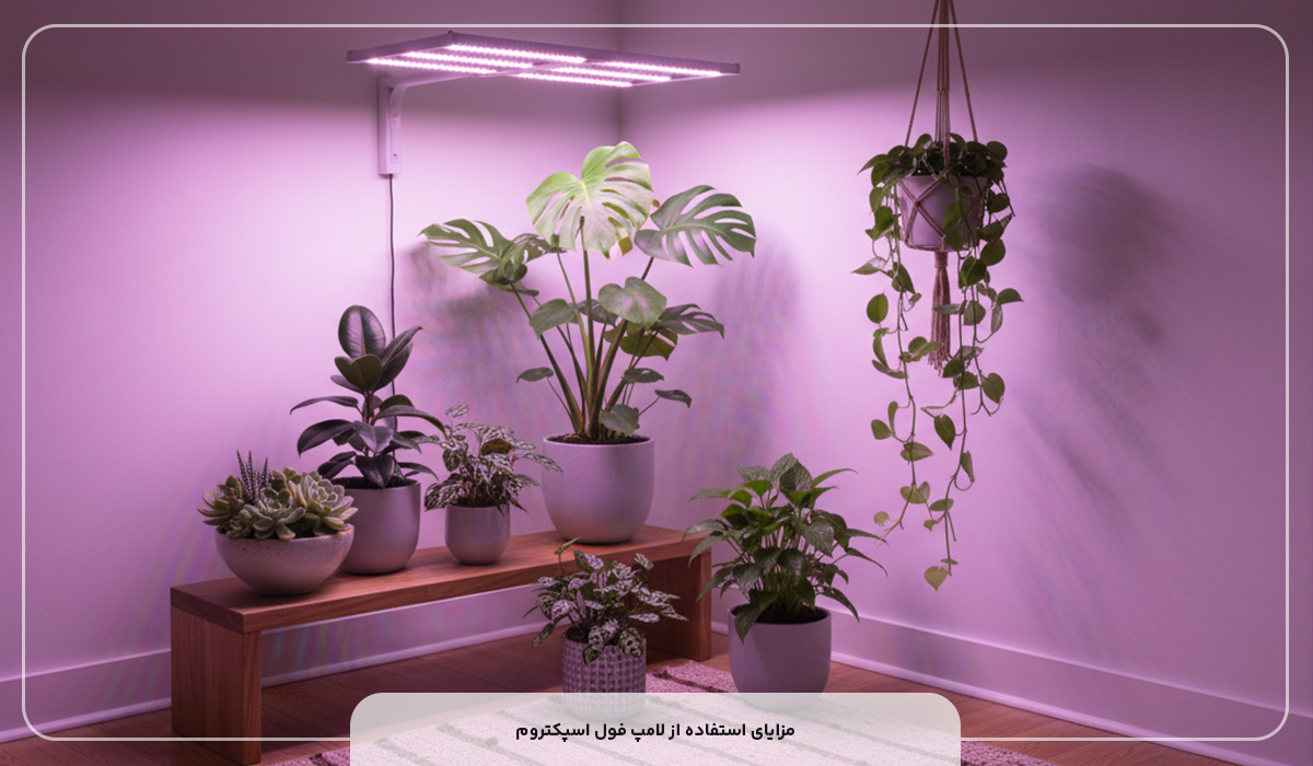 مزایای استفاده از لامپ فول اسپکتروم