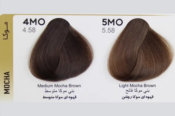 رنگ مو دودی