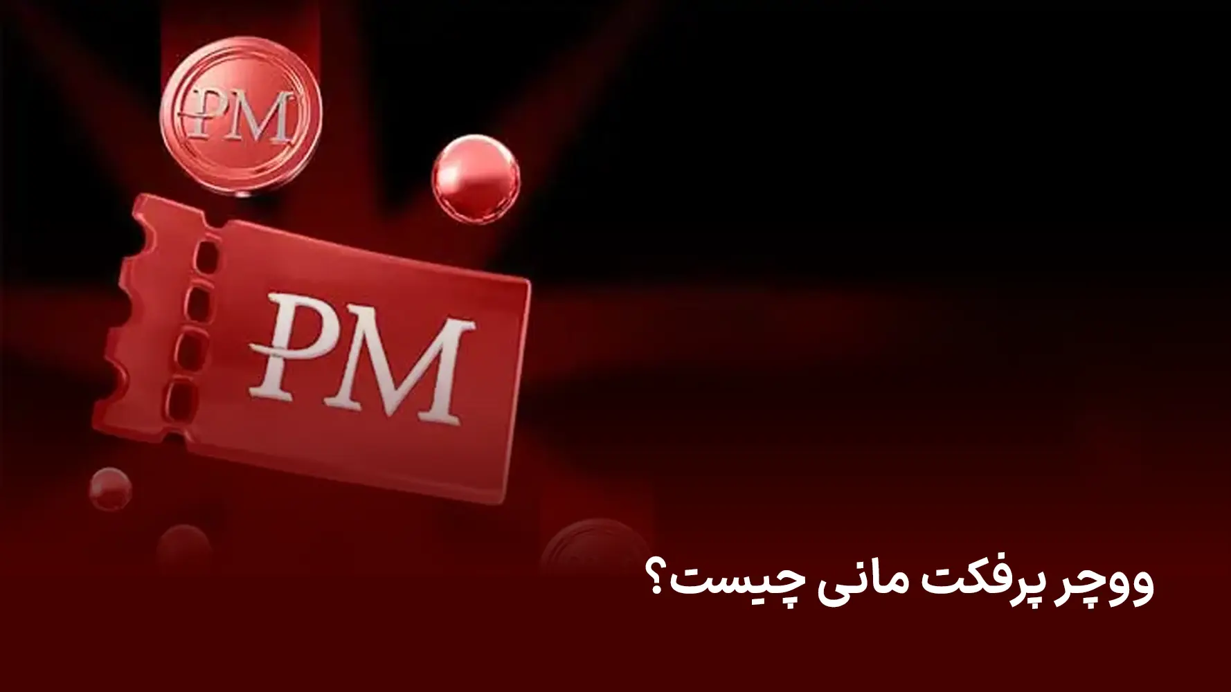 ووچر پرفکت مانی چیست؟