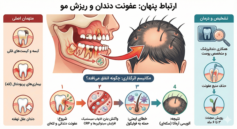 اینفوگرافیک درباره ریزش مو در اثر عفونت دندان