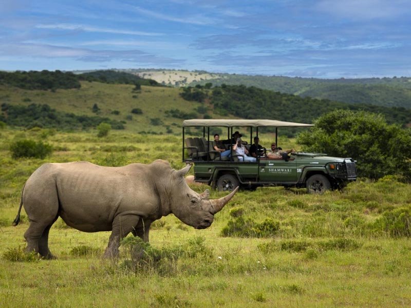 آفریقای جنوبی از گران ترین تورهای نوروز 1405