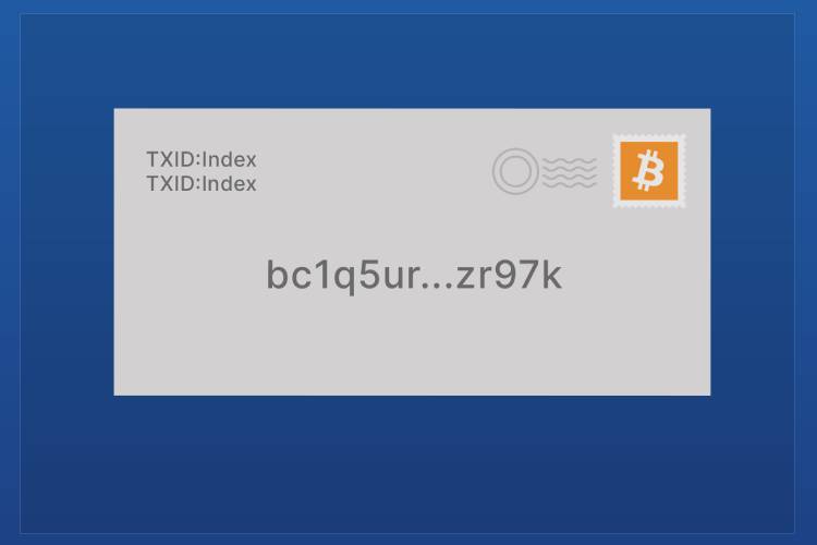 آدرس ولت چیست؟