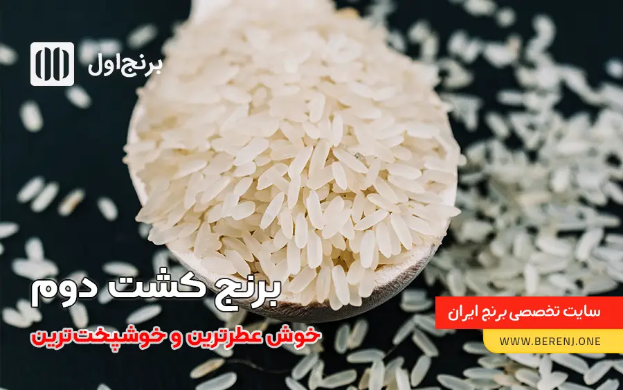 برنج کشت دوم