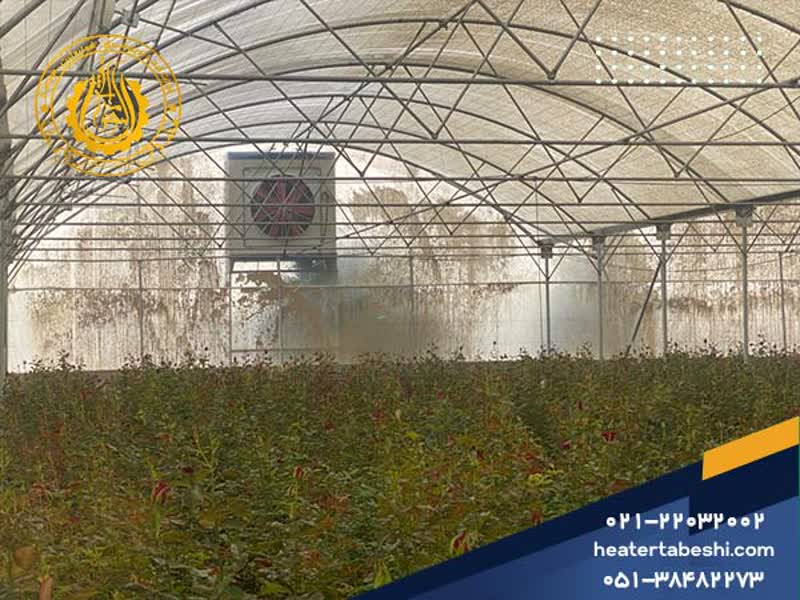 نمایی از کولر صنعتی آکسیال در گلخانه