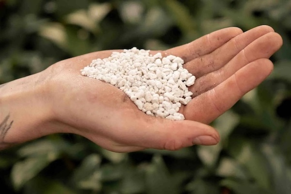خاک پرلیت برای چه گیاهانی مناسب است
