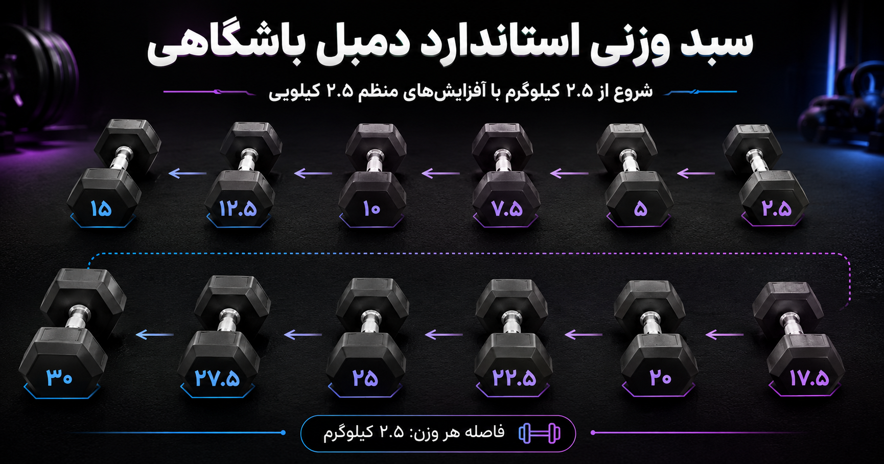 وزن‌های ضروری در ست دمبل باشگاهی