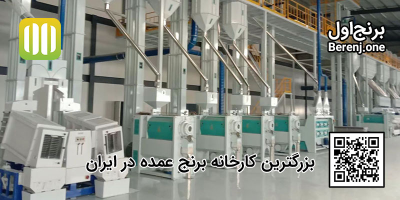 خرید برنج عمده