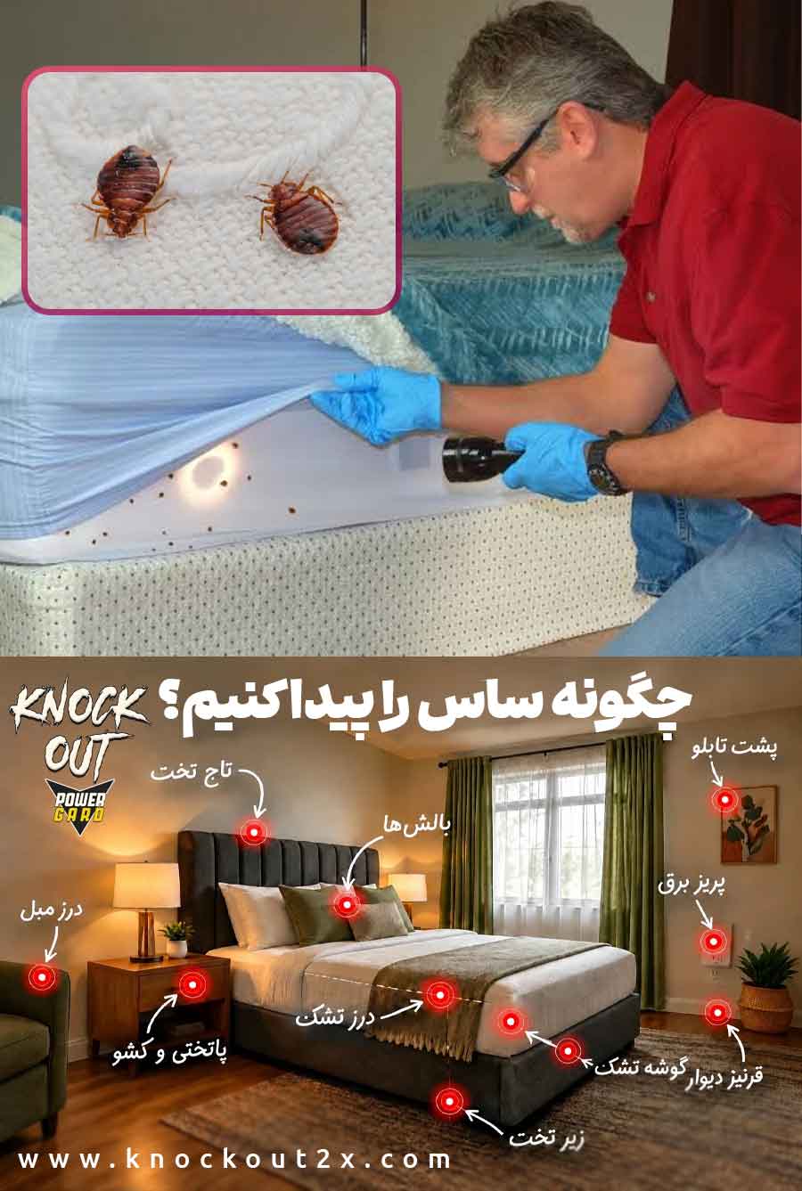 چگوه علائم ساس در خانه را پیدا کنیم؟