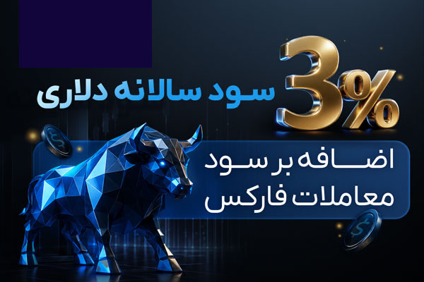 طرح roe دریافت سود سالانه از سرمایه دلاری و تتری در کنار امنیت نگهداری